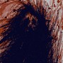 SCXURGE - HATRED 2