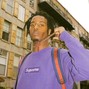 vice major - ppurple