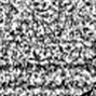Bother93 - Nutti