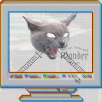 Bother93