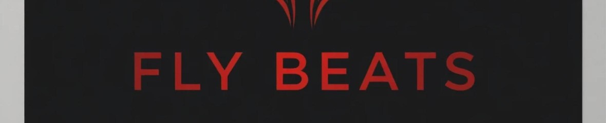 Fly Beatz cover