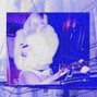 blueepointwav - toutel'annee--131bpm--exportedbyblue+youngjay 