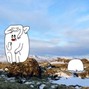 gary g beats - sherpa80bpm (prod. gary g)