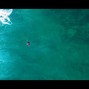 Sean Santana - Viral
