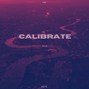 issue. - Calibrate