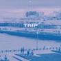 issue. - Trip
