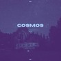 issue. - Cosmos