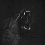 Dark Wolf - MAJOR APERECNE - NBA YoungBoy - Type Beat