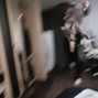 profinek004 - PECHENKA MP3