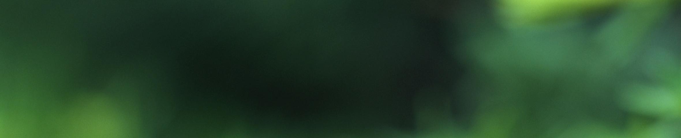 Traktrain banner for @mode