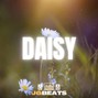 Joe Gautrey Beats - Daisy | Indie x Alt Pop x Rex Orange Country Type Beat