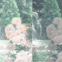 lovelyvxtte