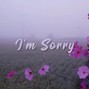 outofplace - I'm Sorry