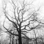 Kirill990 - Lullaby of the Creepy Woods 