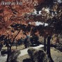 Kirill990 - Home in You