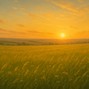 Kirill990 - Summer Brightness