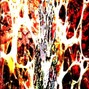 vmrrobotic - ken carson liveleak x rage x more chaos x che x bleood type beat