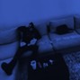 O$P - MOONLIGHT [136BPM/Dminer]