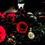 d maul - Remnants | Lil Peep x Lil Tracy 