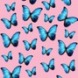 Cyco - Butterflies