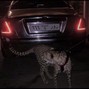 hanna - Future x 21Savage type beat - Bently