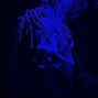 Darriu$ - Hopeless