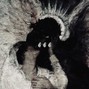 bangers only - myguardianangel - Instrumental