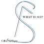 SCIFAME - WHAT IS SCI?