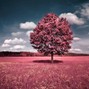 yigit.ozen18 - LAST DREAM
