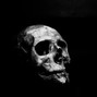 yigit.ozen18 - SKULLS