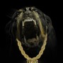 ytcferg - DARK ANGELS