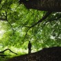 JrGotBeats - Nature