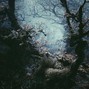dntcry - Twisted
