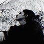 GREY - DAWN
