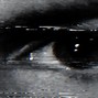 GREY - NOCTURNAL