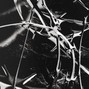 moschella - prove
