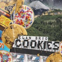 Elan Brio