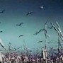 MICHVXXL - SorryForWorryingYou