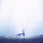 MICHVXXL - Evangelion