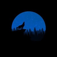 Tommy Wolf