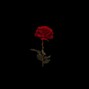 DecayOnTheBeat - Bipolar