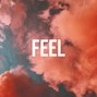 Flashey - FEEL