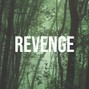 Flashey - REVENGE