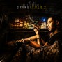 SAKURASAVAGE - SO HOLLYWOOD | LIL WAYNE + YOUNG MONEY + OLD DRAKE
