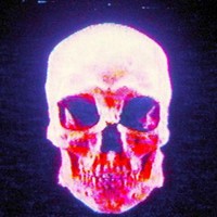 DeadDogTired