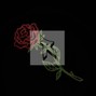 Rogue - Rose [Gunna]