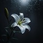deciduusBeat - Lily of Purity