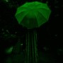 Typical - Drench