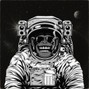 NVRLND - Black Matter