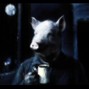 Bergamot - night watchman